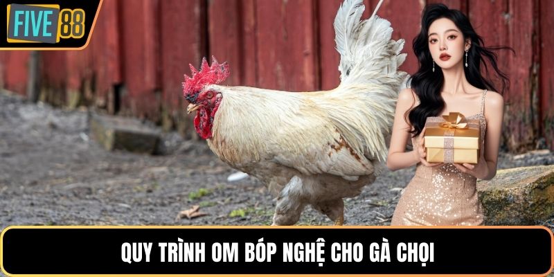 Quy trình om bóp nghệ cho gà chọi